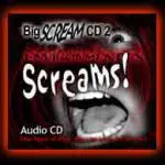 cd_box2_2.jpg